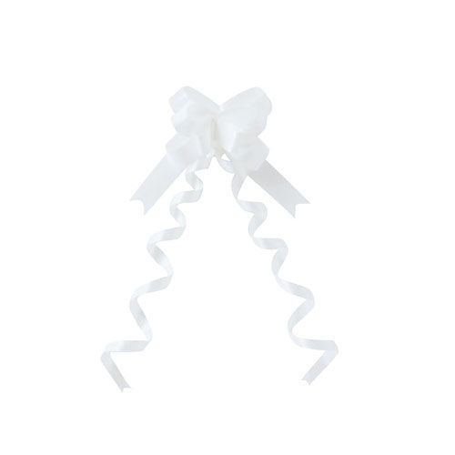 PROBiO Ca プロバイオイナー・エープラス 2個セット 最新