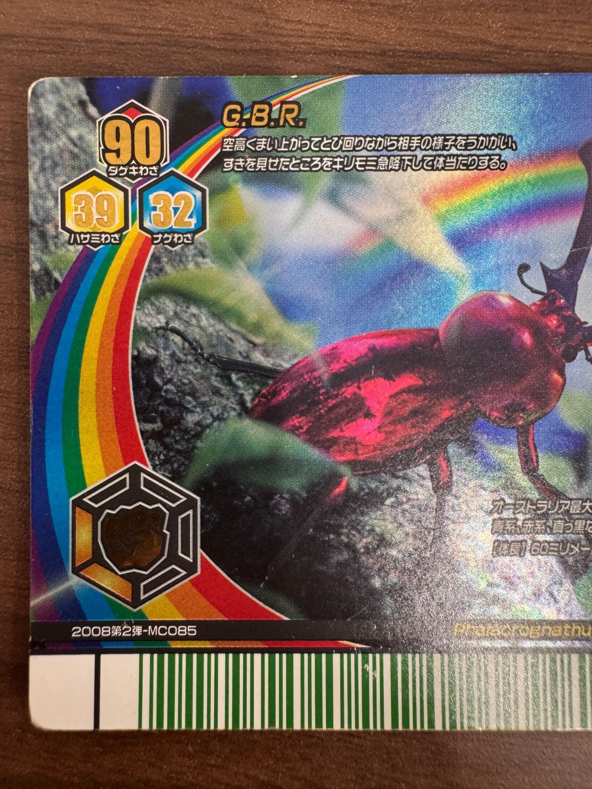 状態C ニジイロクワガタ 2008 夏 レインボー 甲虫王者ムシキング