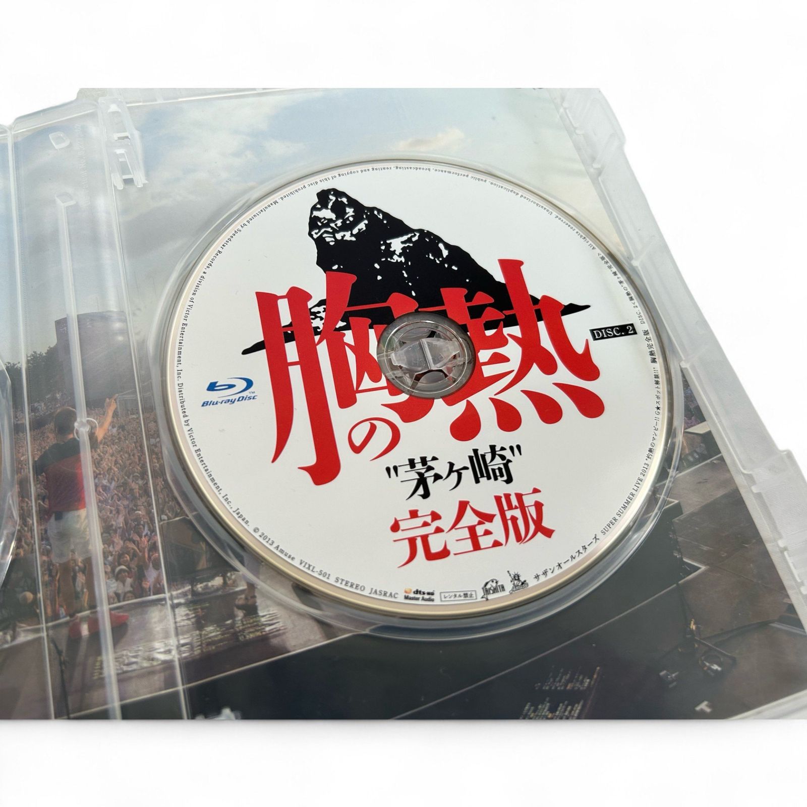 ◇ SUPER SUMMER LIVE 2013 