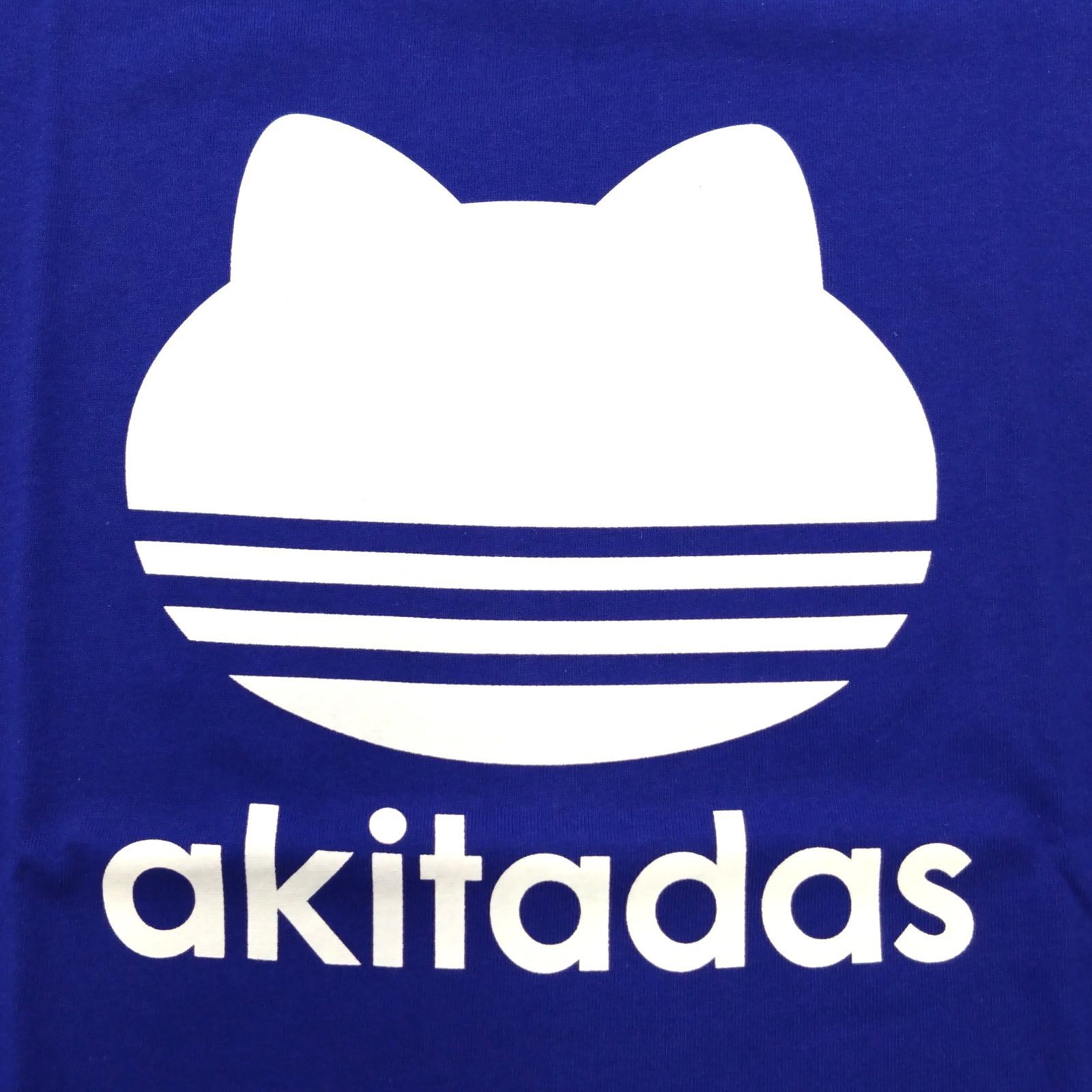 お盆休業のため、発送は8/18以降になります】Tシャツ（AKITADAS