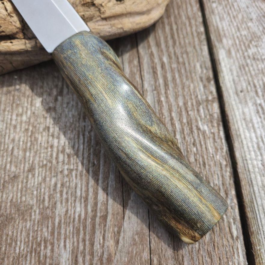 虹彩珊瑚のマキリ