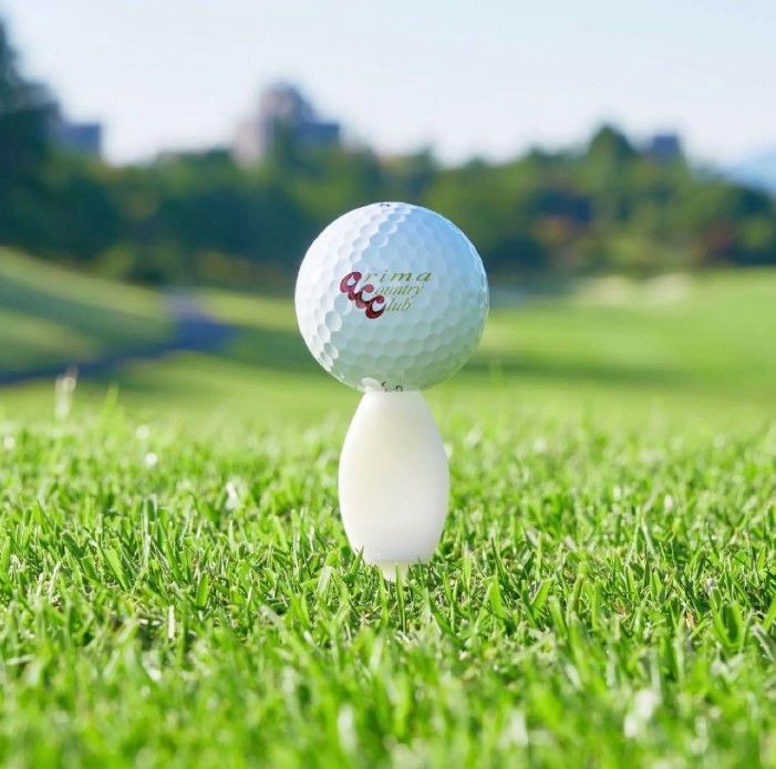 パリティー ゴルフティー 10本セット フォーク機能付き ランダム