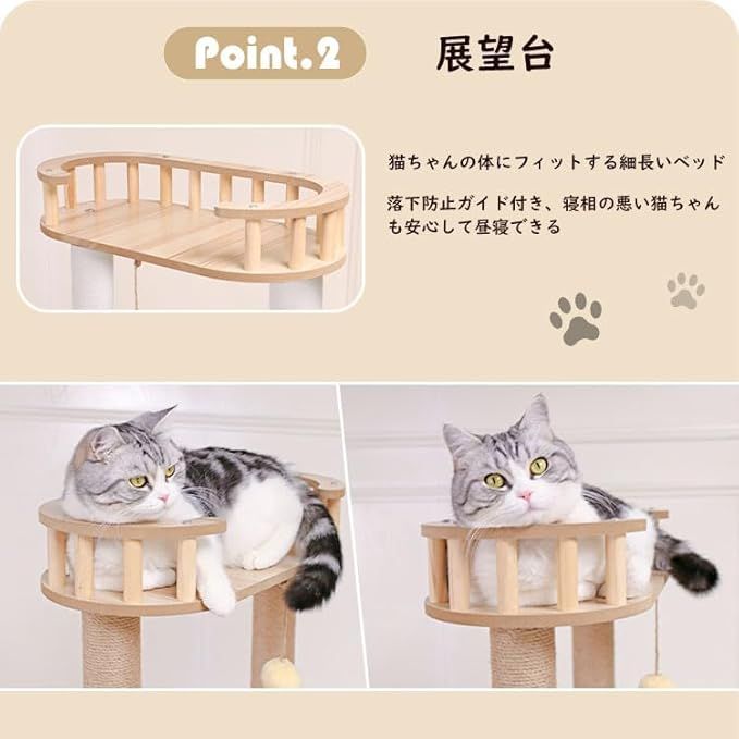 中型
