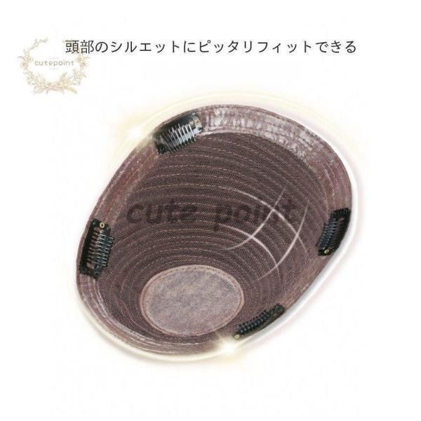 薄毛対策 カツラ