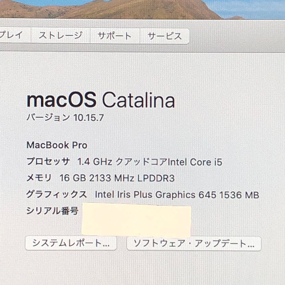 13インチ 2019