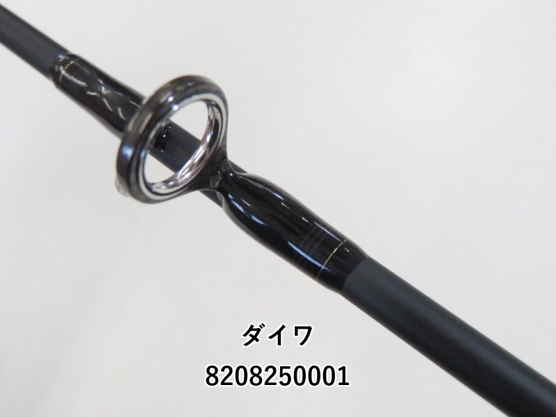 ダイワ ソルティガ SJ AGS 55B-3 TG (02-8208250001) ジギング