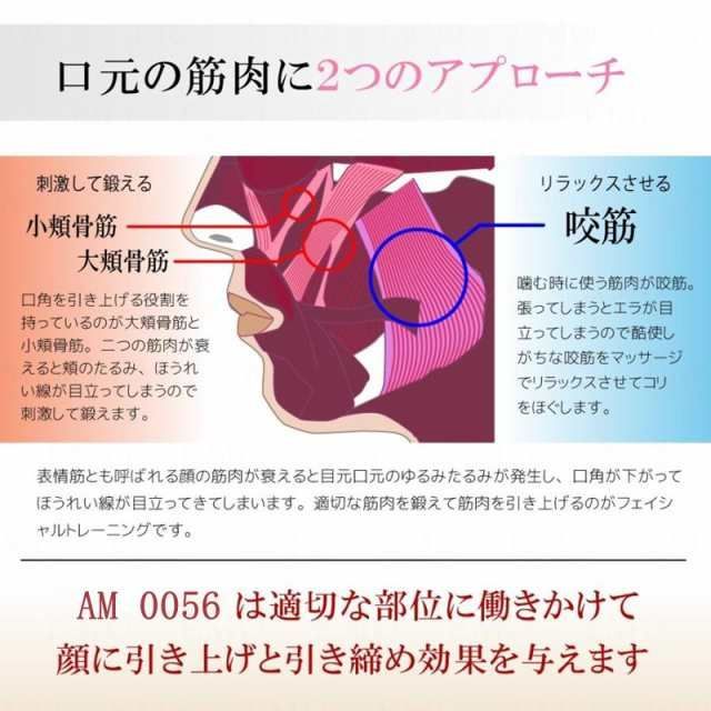 トレーニング