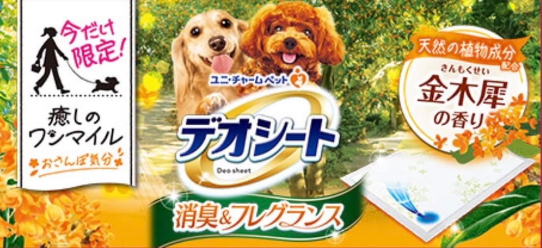 ワイド