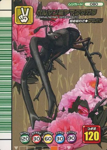 中古】ムシキング 080：ヘルマンミヤマクワガタ - メルカリ