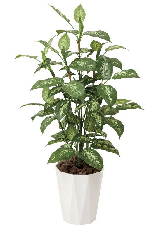 光触媒観葉植物 ディフェンバキア1.1/光触媒〔フロアタイプ(ミドル