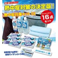 2営業日で発送 ブレイン 熱中対策キットDX BR-610 1個