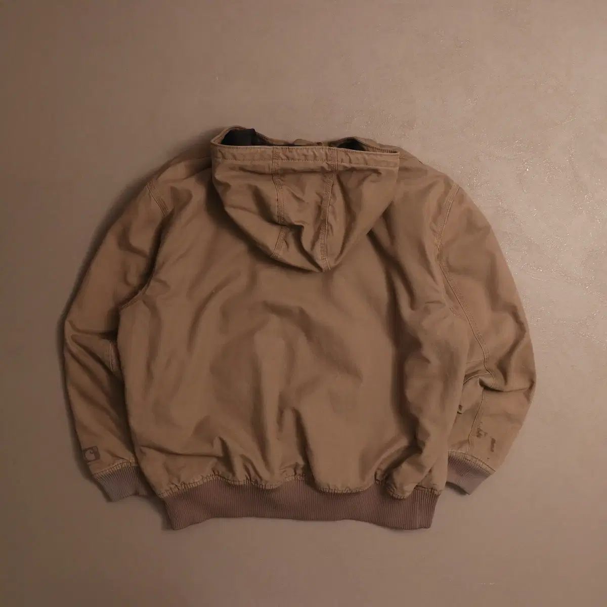 速い ダックアクティブ