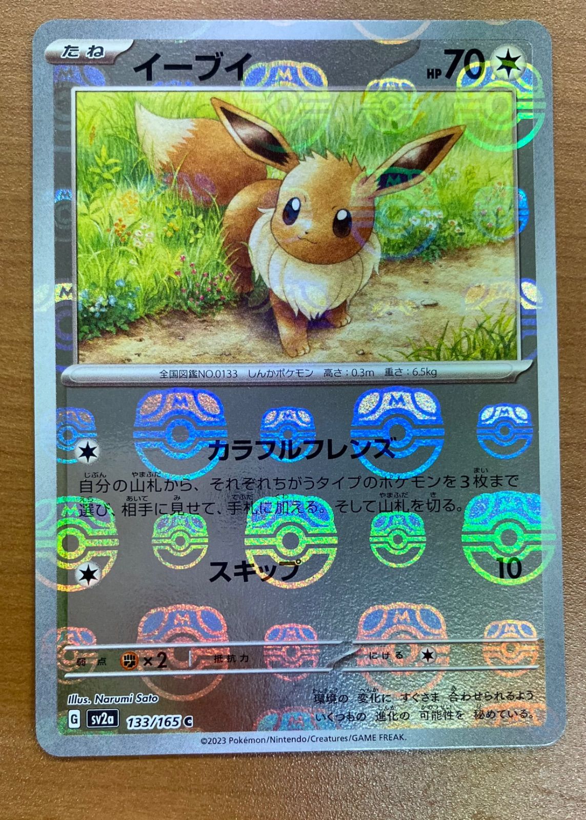 PSA10 イーブイ マスボミラー482 PSA10 イーブイ マスボミラー482