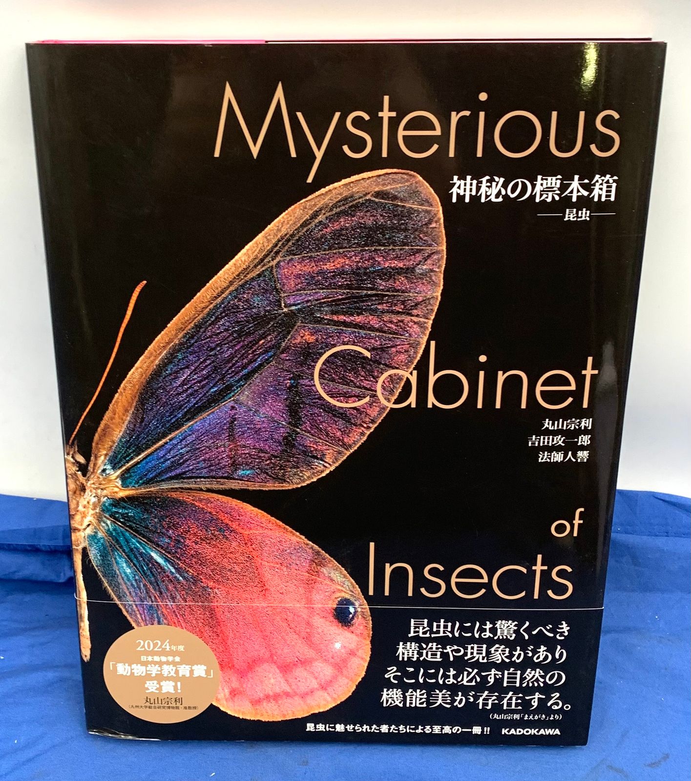 【極美品】t神秘の標本箱 ‐昆虫‐