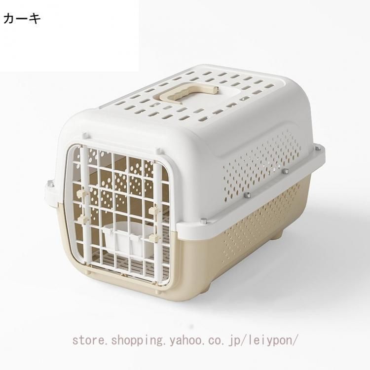 成猫