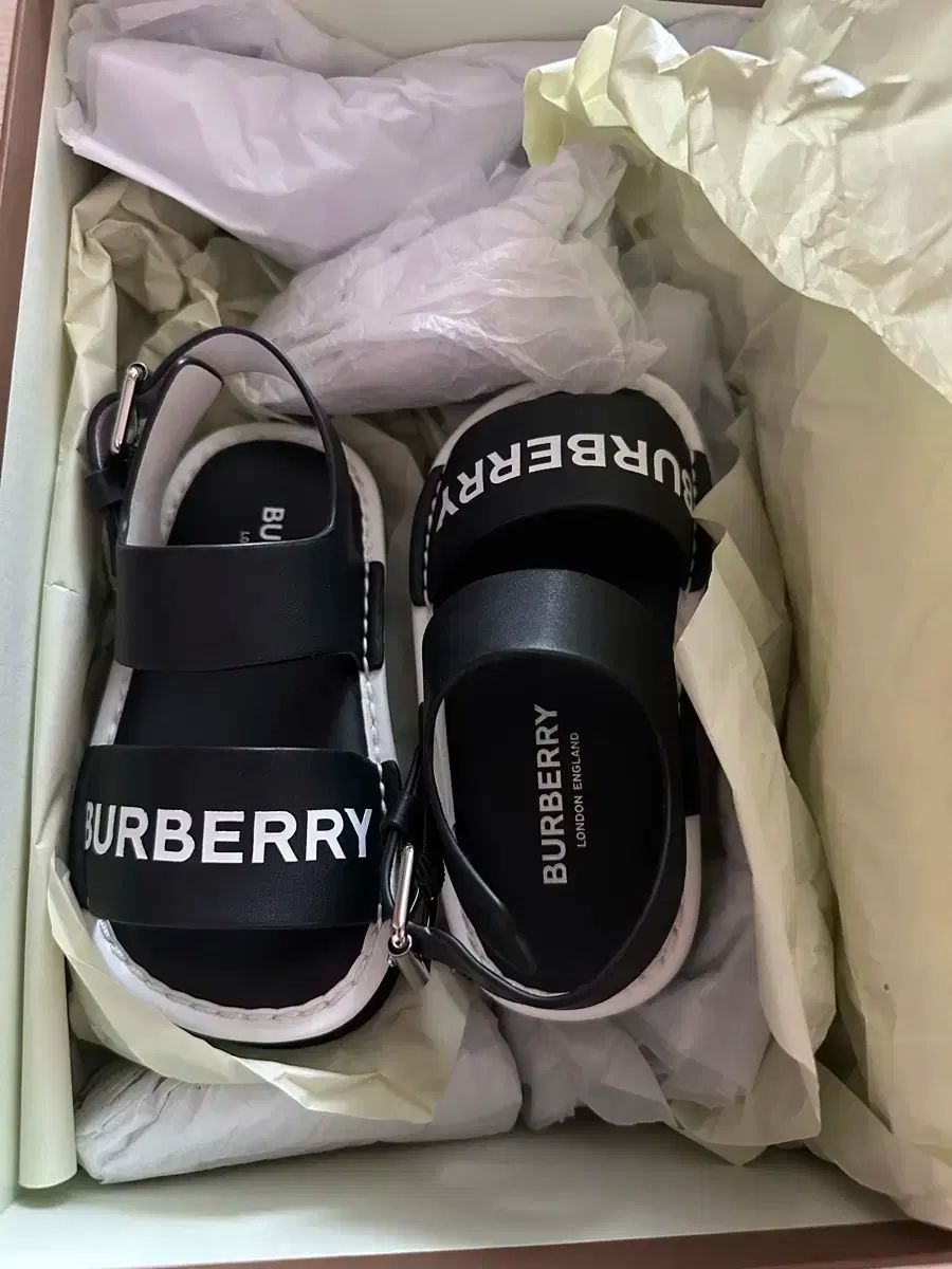 freckle seoul sinoon glowny samoyed フェケテ freckle seoul sinoon glowny samoyed フェケテ