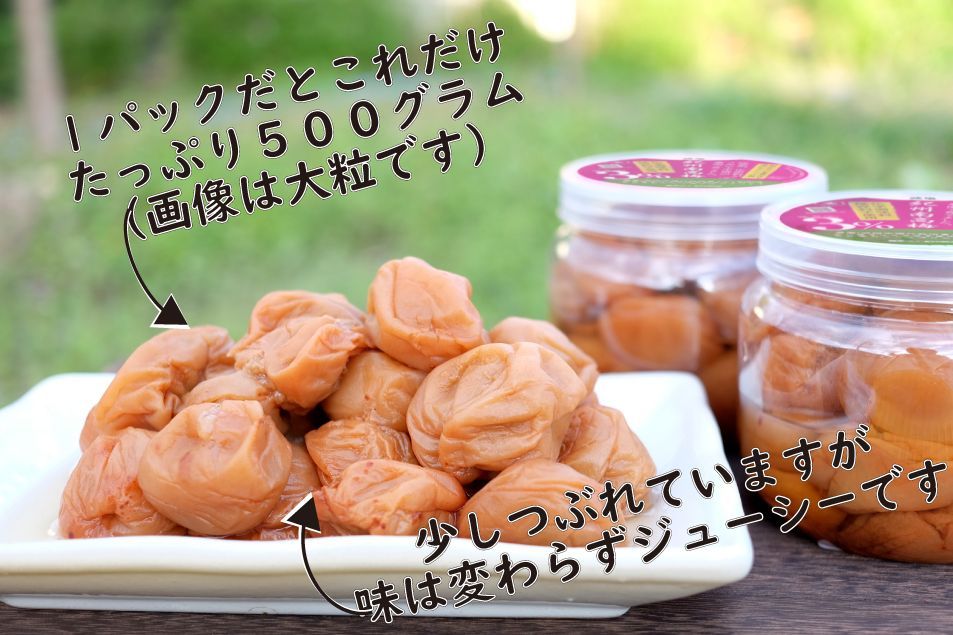 つぶれ5kg 無添加 自家製 梅干し 紀州みなべの南高梅 楽天市場】紀州 南高梅 梅干し ぷらむ工房 わたしの家は梅農家