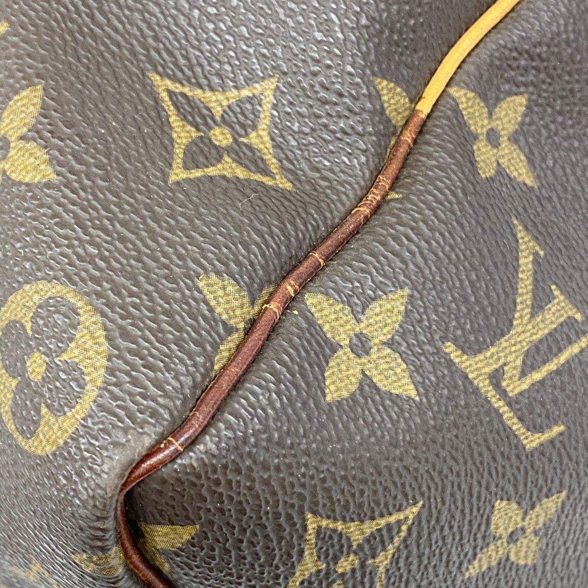 レディース ユニセックス