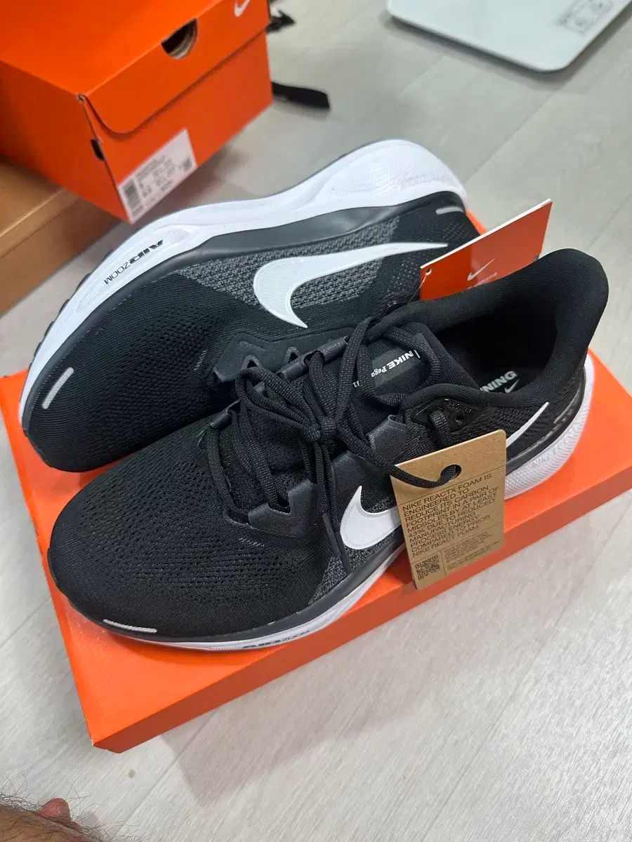 NIKE ナイキ ペガサス 41 275