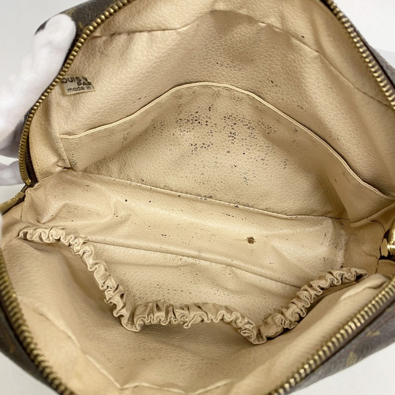 盆栽 龍神蔦 樹高鉢底より約15cm 鉢は秀峰