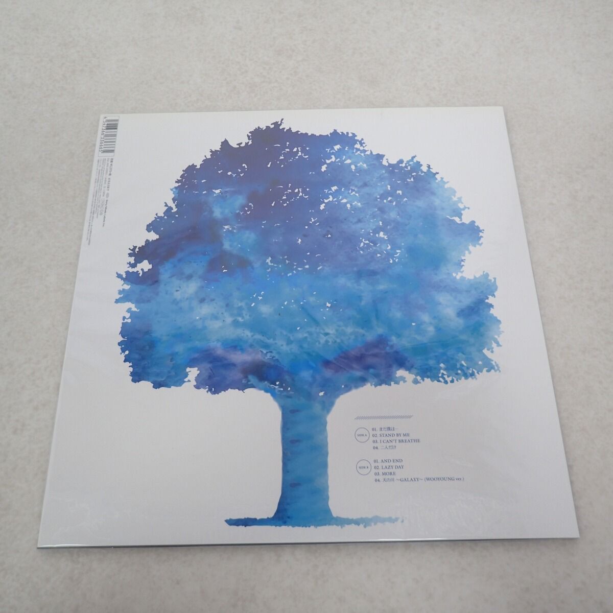 ウヨン LPレコード