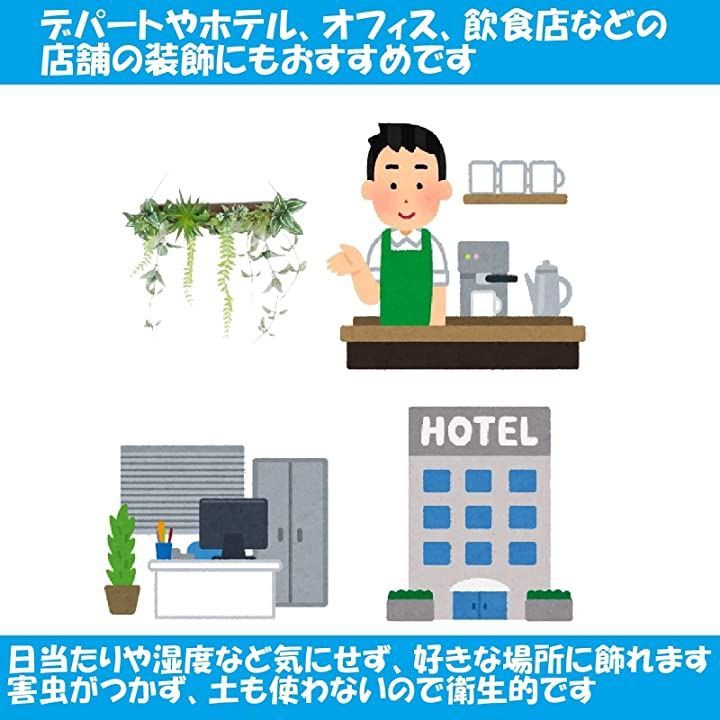 観葉植物 ウォールグリーン