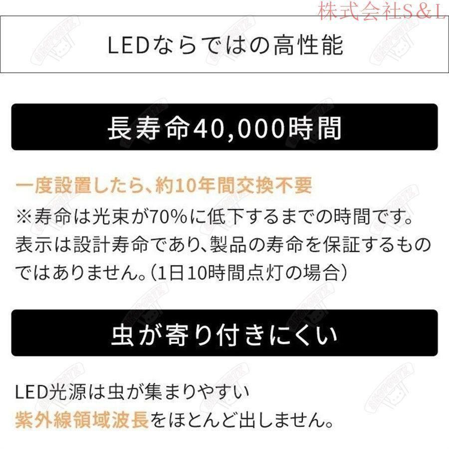 天井照明