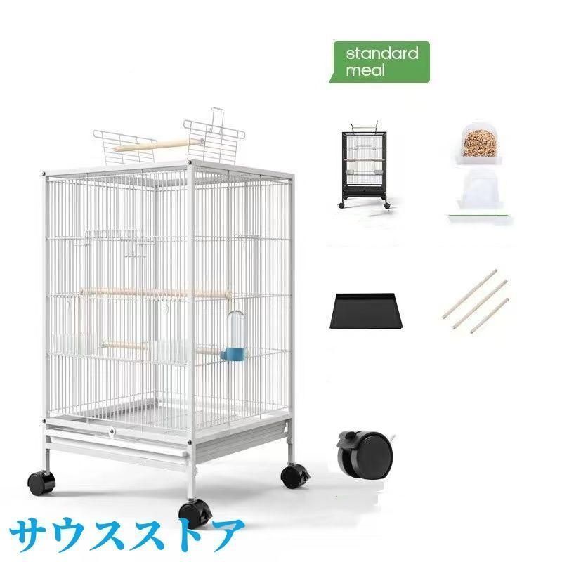 レディース