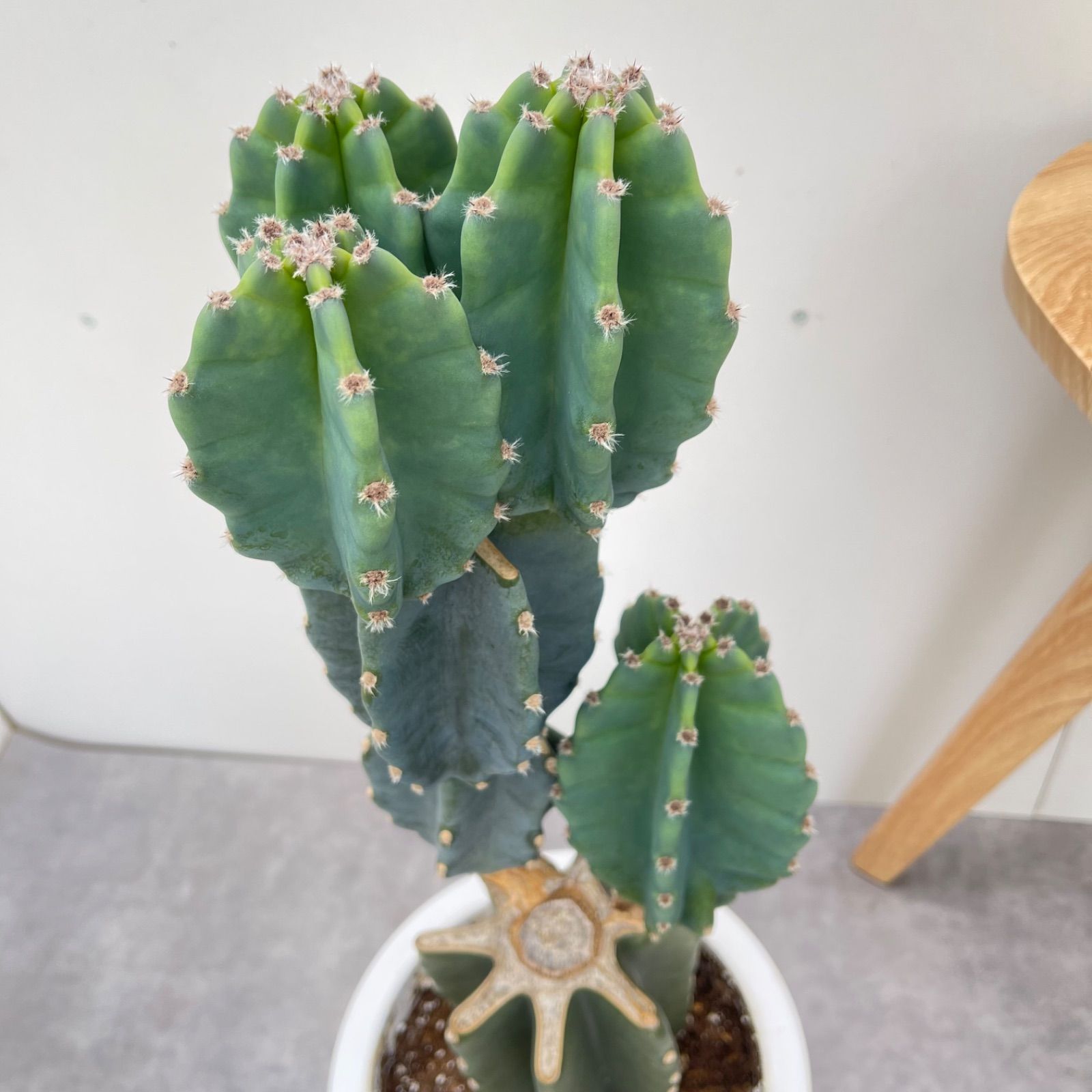 29 現品