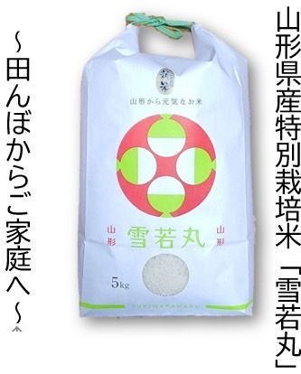 山形県産雪若丸10kg 5kg×2袋 白米