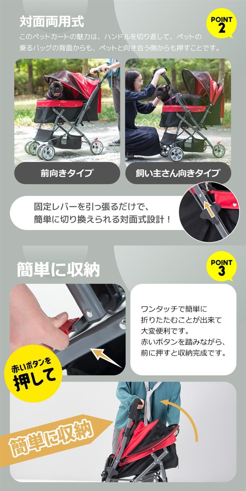 猫 動物