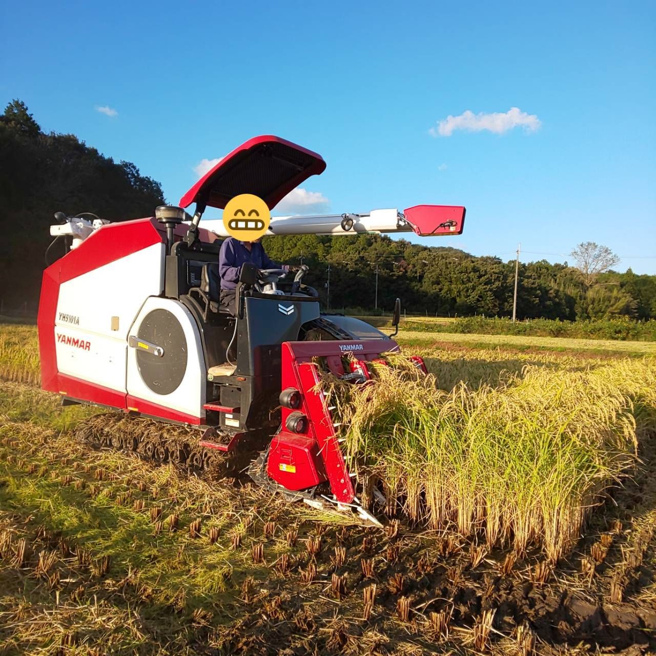 SAKURA様 農薬不使用 化学肥料不使用 ヒノヒカリ 白米 20kg