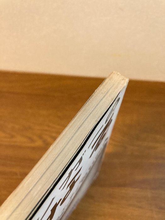 カメラ毎日別冊 ファイニンガーの完全なる写真】毎日新聞 1969年