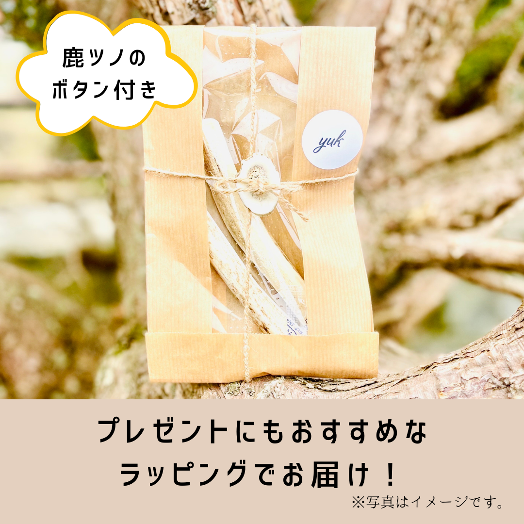 【送料無料】🐶小型犬用🐶一本物 先端🦌北海道産エゾ鹿の角🦌犬のおもちゃ🐕鹿の骨　B