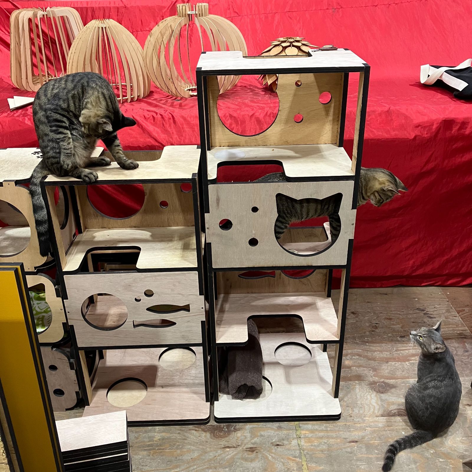 猫 猫用品