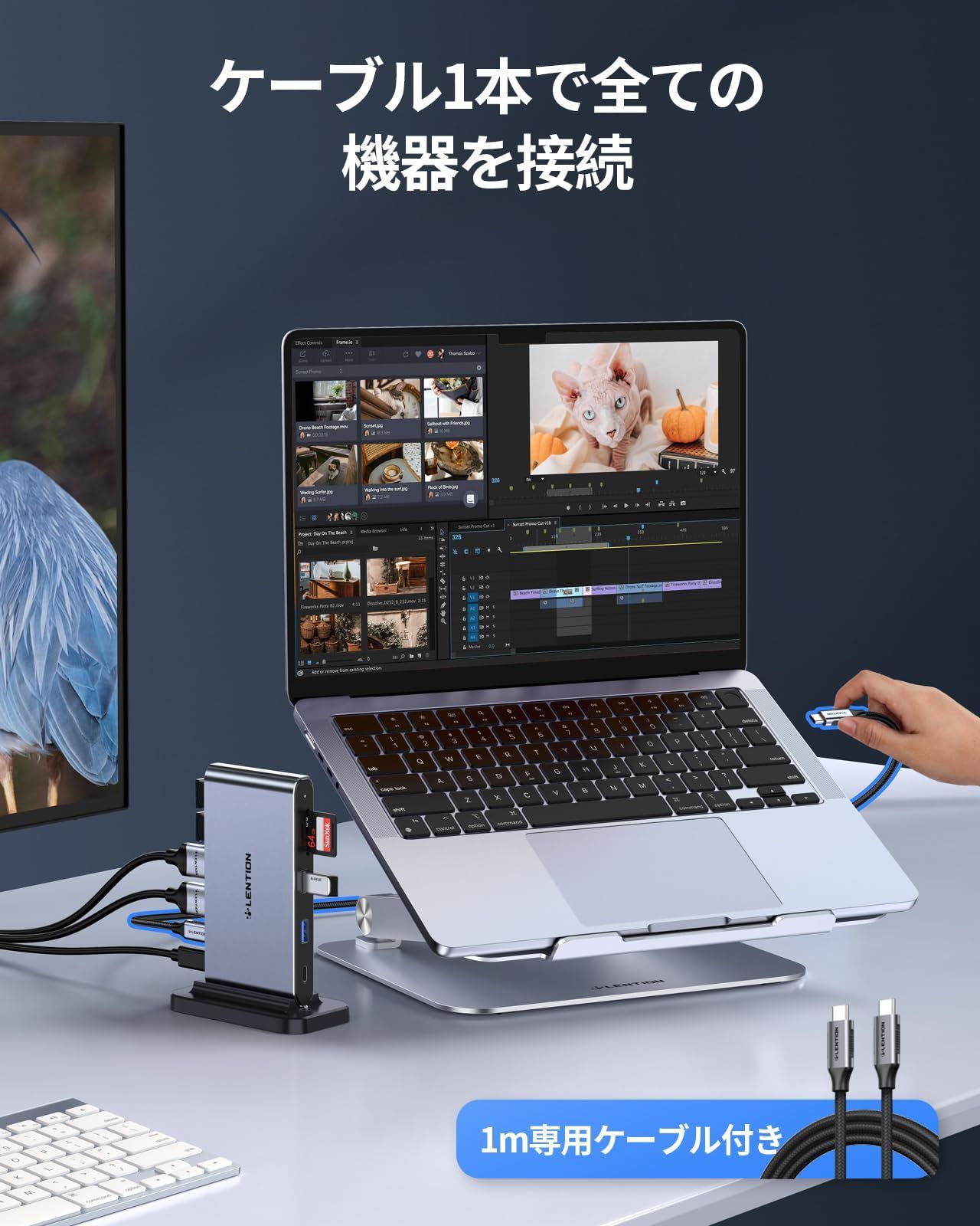 在庫セール 100W カードリーダー PD対応 SD|SD タイプc Micro USB3.0 ハブ HDMI 4K Type CB-D62 10in1 C C ドッキングステーション 2ポート USB 縦置き スペースグレイ LENTION WWW_NOITHATQUANGTHANH_NET