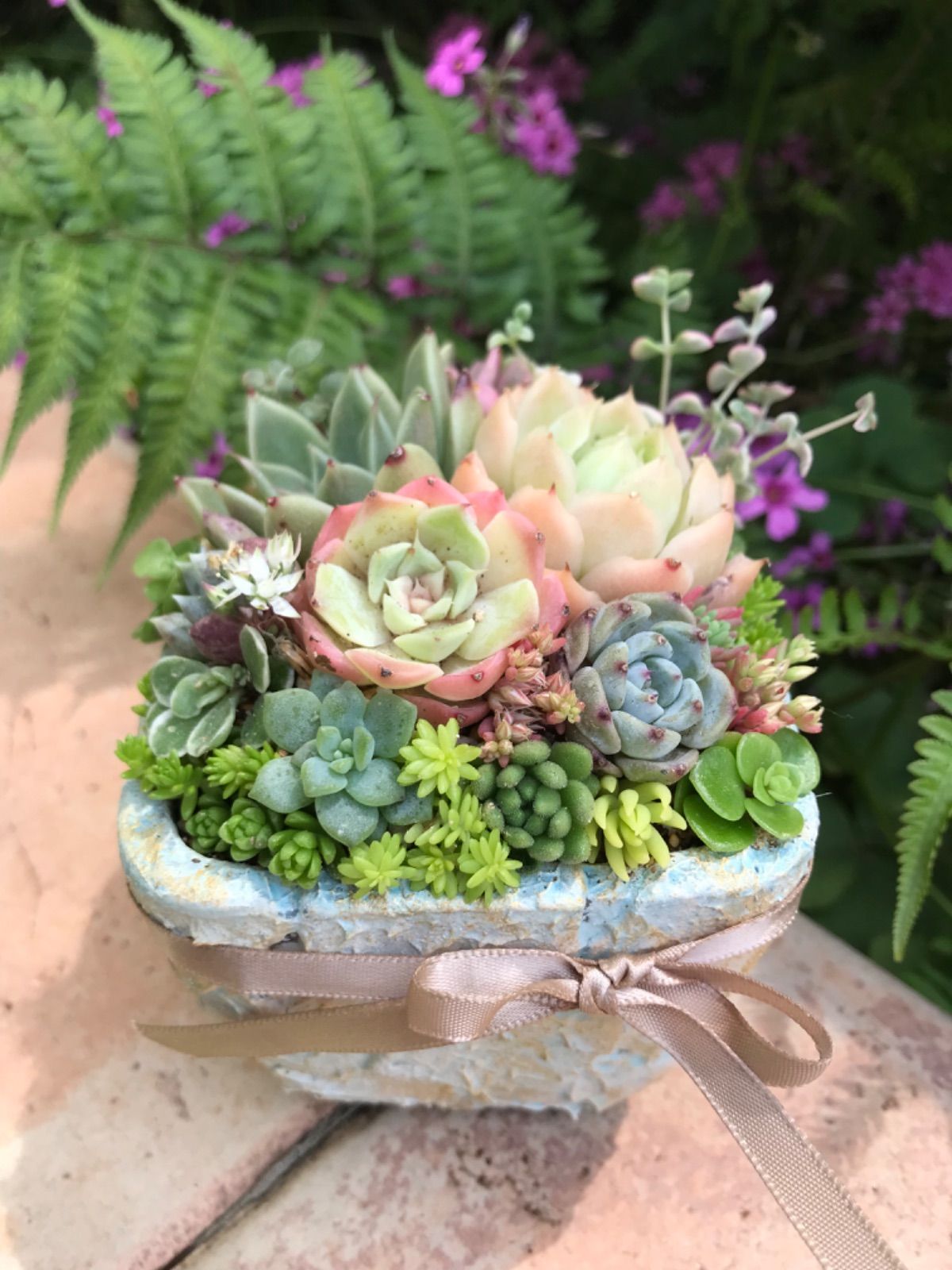 石鉢・寄せ植え鉢・多肉植物用鉢 61EJ+B4L4yL._UF894,1000_QL80_.jpg