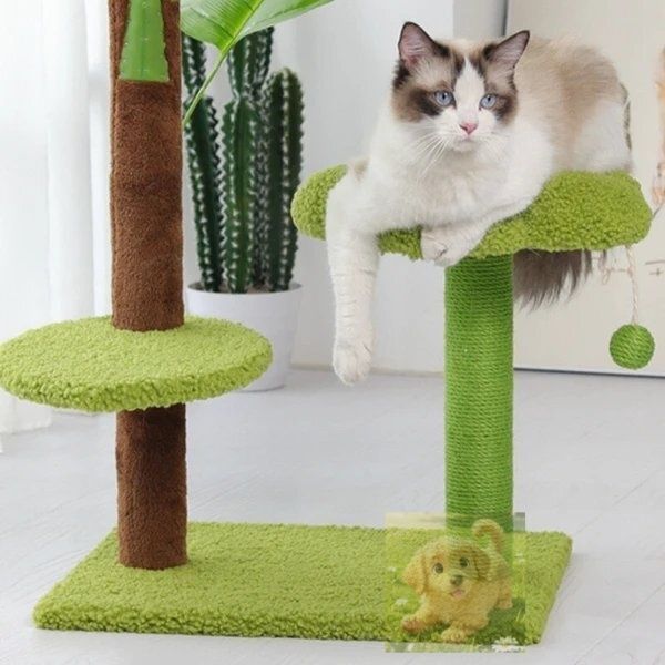 新しいシミュレーション猫小屋は熱帯雨林風に登ります