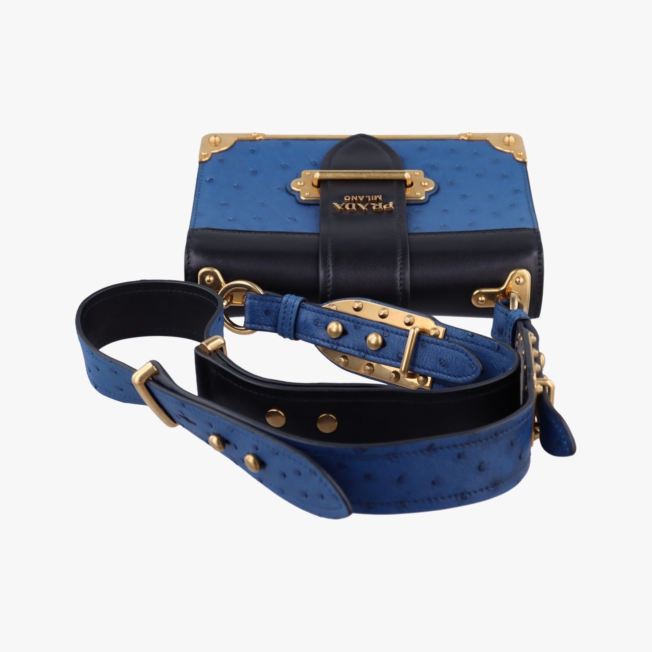 プラダPradaシティ ダチョウ