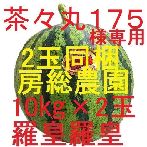１０㎏×２玉同梱 茶々丸様 羅皇ザスイート