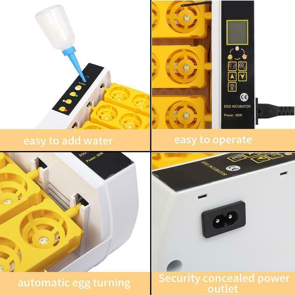 検卵ライト内蔵