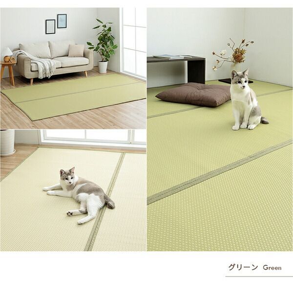 カビ発生しにくい お手入れ簡単