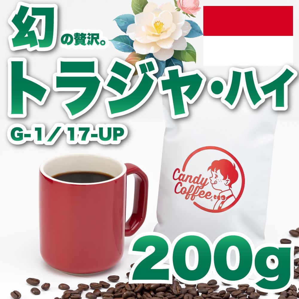【 200g 】トラジャ　CandyCoffee　キャンディコーヒー　コーヒー豆　自家焙煎　/ トラジャハイ 珈琲豆 珈琲  メルカリShops店
　#人気メニュー