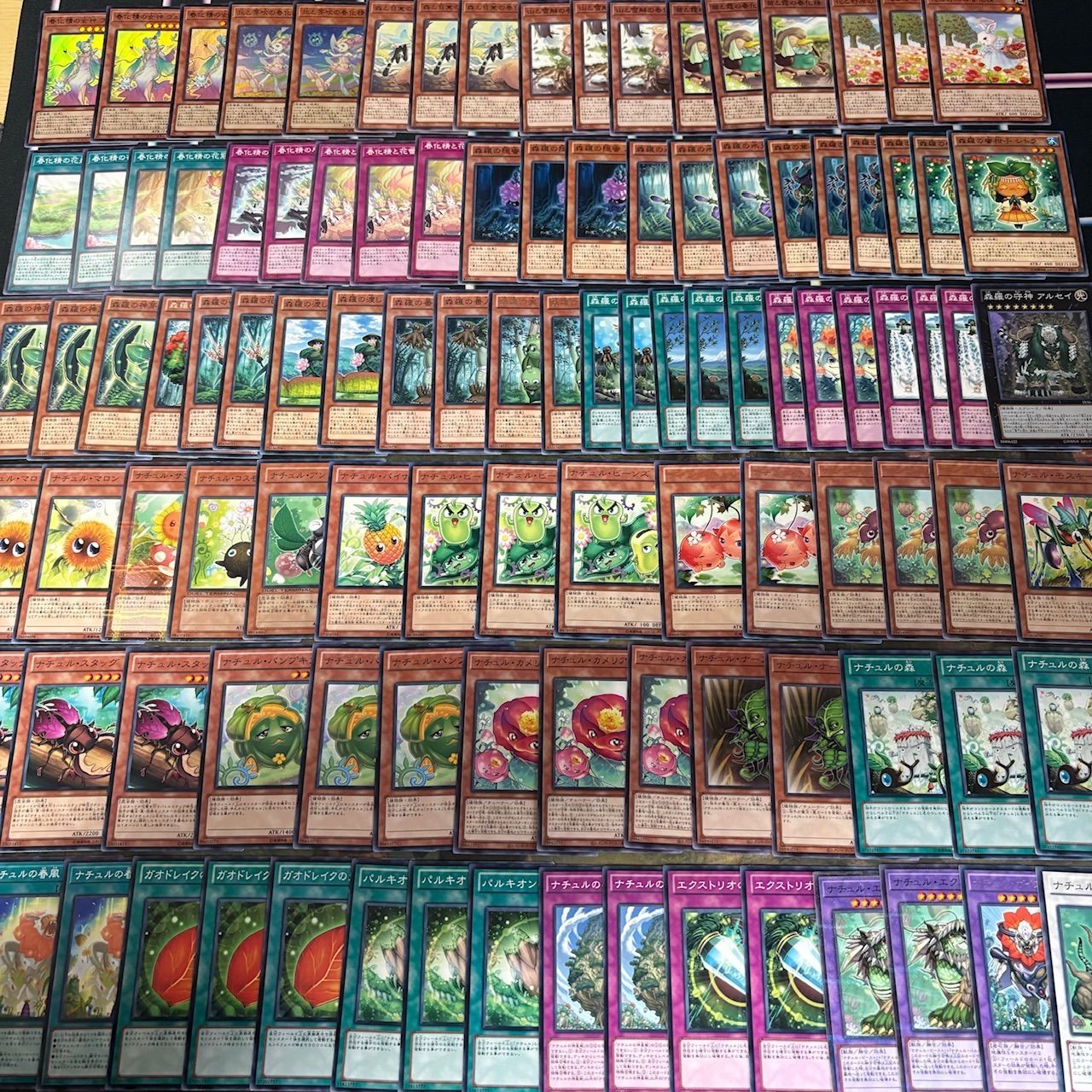 遊戯王OCG】《春化精ナチュル》のデッキレシピと戦い方／対策
