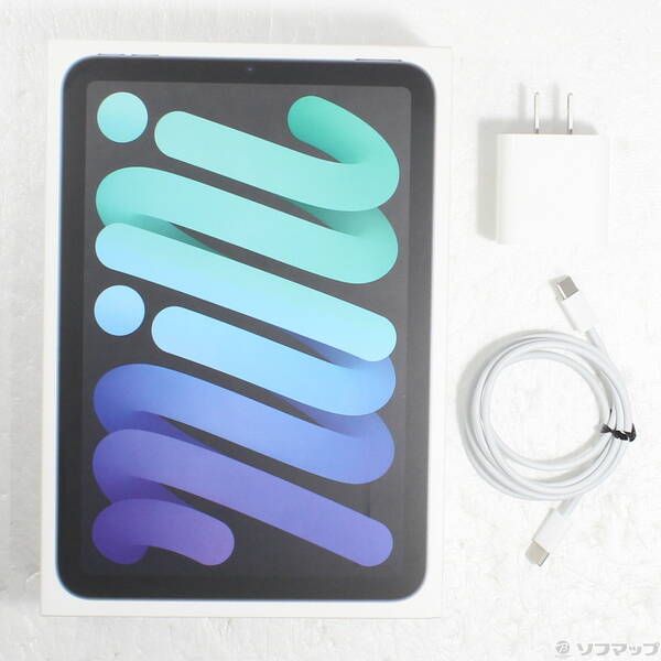 注文 ちゃおちゅーる様* ジャンク iPad Mini 第6世代 256GB ちゃおちゅ