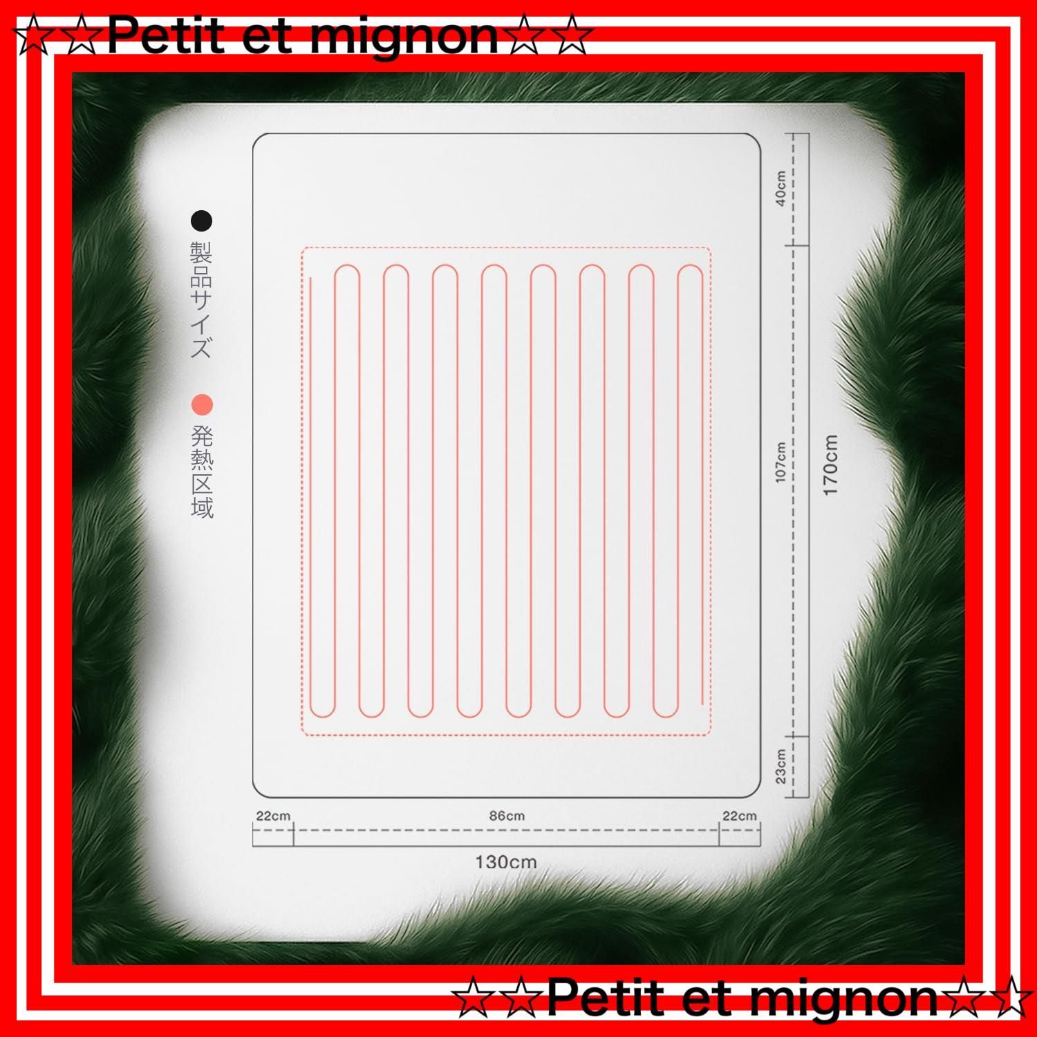 スピード発送 DRMTYGG001 ダニ退治 PSE認証済 170*130cm ふわふわ ポリエステル 掛け 敷布団両用 丸洗い 洗濯機|手洗い対応 ライトグリーン 省エネ 切タイマー 5段温度調節 厚手保温 超滑らか触感 電気ブランケット ひざ掛