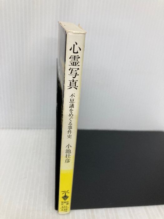 心霊写真 不思議をめぐる事件史 (宝島社文庫) 宝島社 小池 壮彦