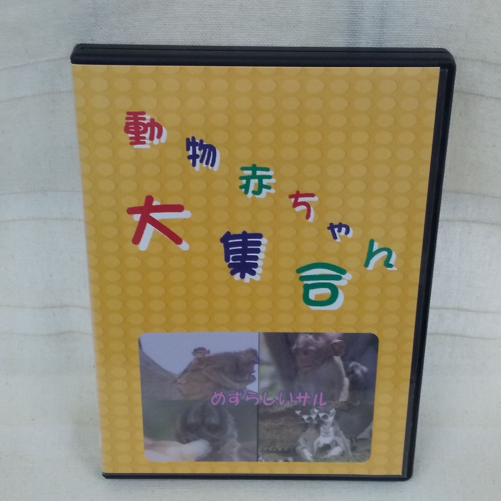 動物赤ちゃん大集合 レンタル落ち 中古 DVD ケース付き - メルカリ
