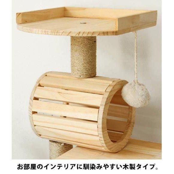 猫ハウス