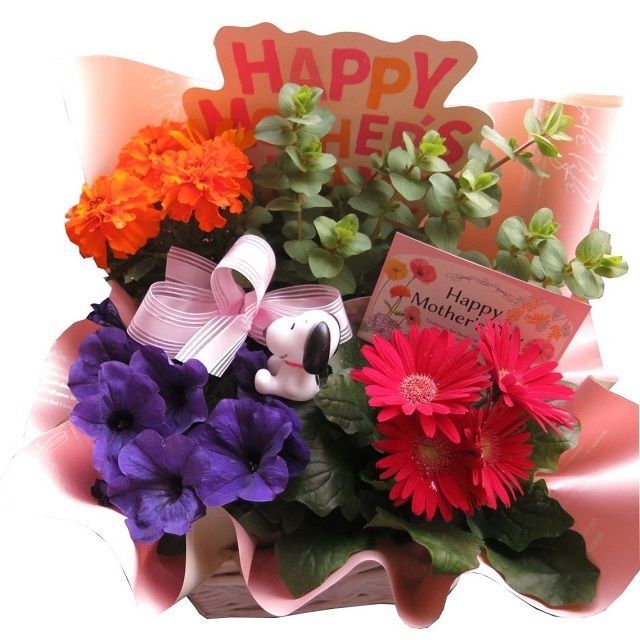 母の日 ギフト 鉢植え スヌーピーマスコット 季節のお花お任せギフト スヌーピー入り 母の日 花鉢 プレゼント